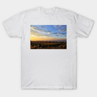 Sunrise over Grape Orchards and Immenstaad - Lake Constance T-Shirt